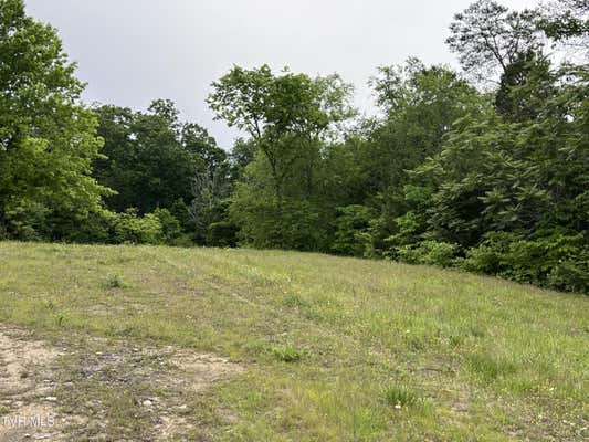 LOT 5 CLEMON ROAD, BULLS GAP, TN 37711, photo 5 of 7