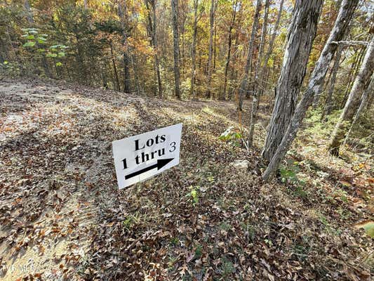 TRACTS 1-3 TOPAZ WAY, PARROTTSVILLE, TN 37843 - Image 1