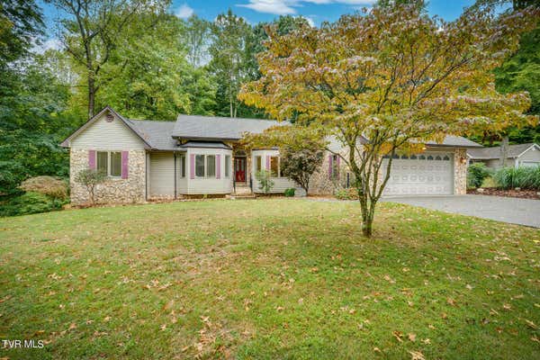 111 BEECHBROOK DR, UNICOI, TN 37692 - Image 1