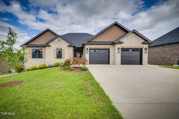 1167 PANORAMIC VIS, GRAY, TN 37615 - Image 1