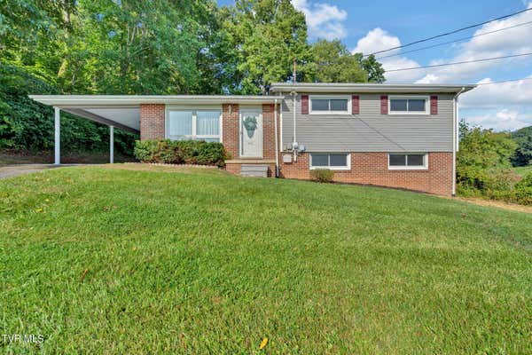 443 KINKEAD AVE, CHURCH HILL, TN 37642 - Image 1