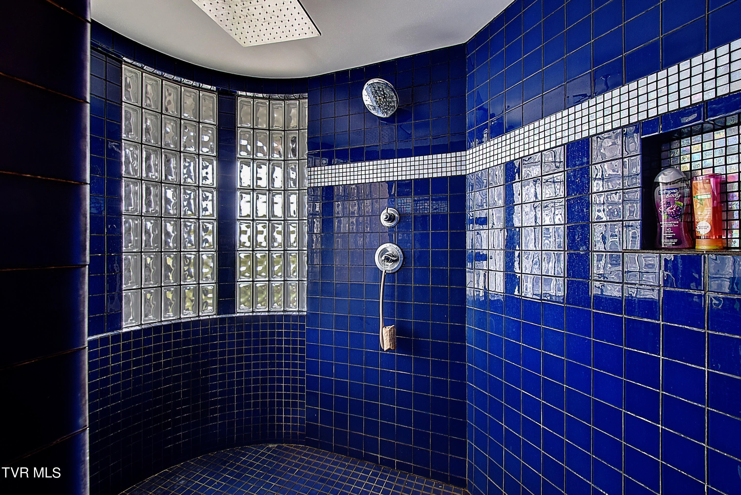 Greeneville, Tennessee, 37745, United States, 6 Bedrooms Bedrooms, ,8 BathroomsBathrooms,Residential,Active,1769938