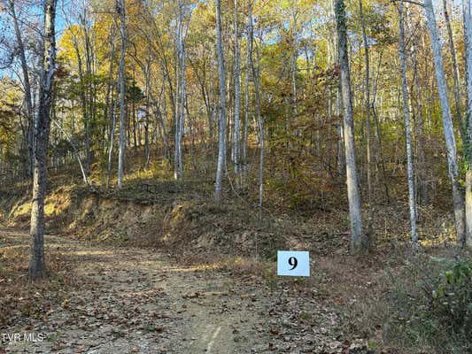 TRACT 9 TOPAZ WAY, PARROTTSVILLE, TN 37843 - Image 1