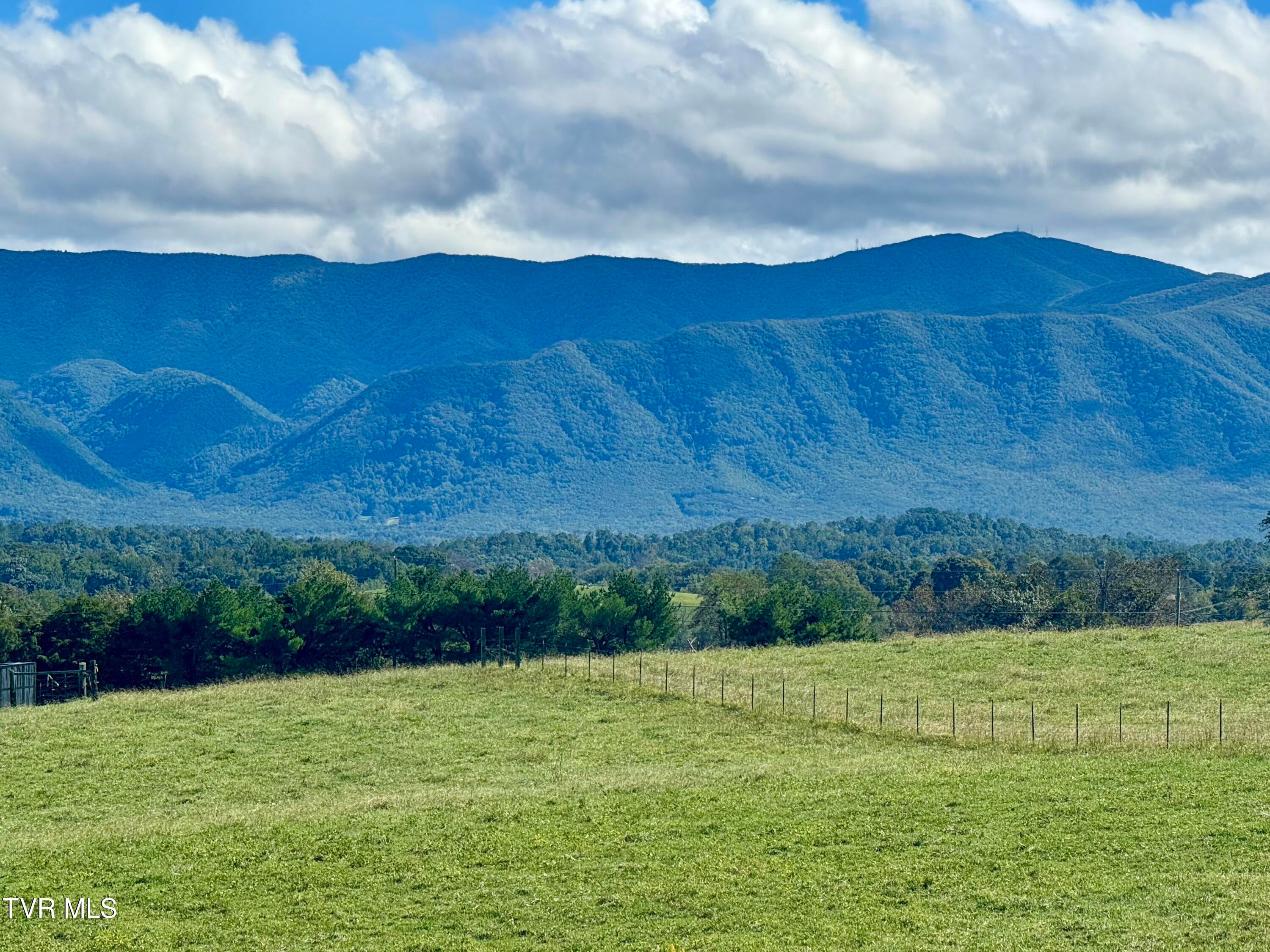 Greeneville, Tennessee, 37745, United States, 6 Bedrooms Bedrooms, ,8 BathroomsBathrooms,Residential,Active,1769938