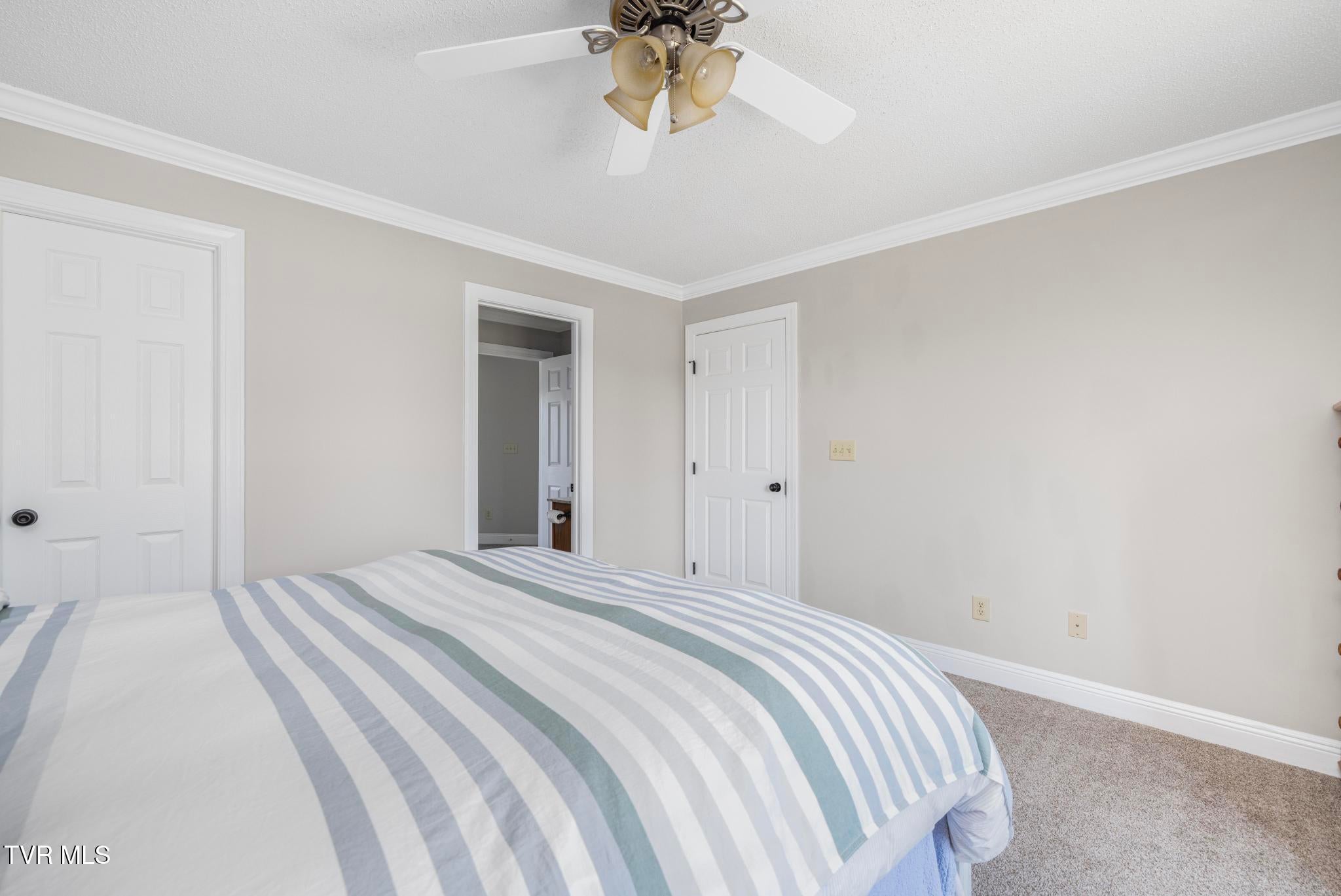 Piney Flats, Tennessee, 37686, United States, 5 Bedrooms Bedrooms, ,5 BathroomsBathrooms,Residential,Active,1849555