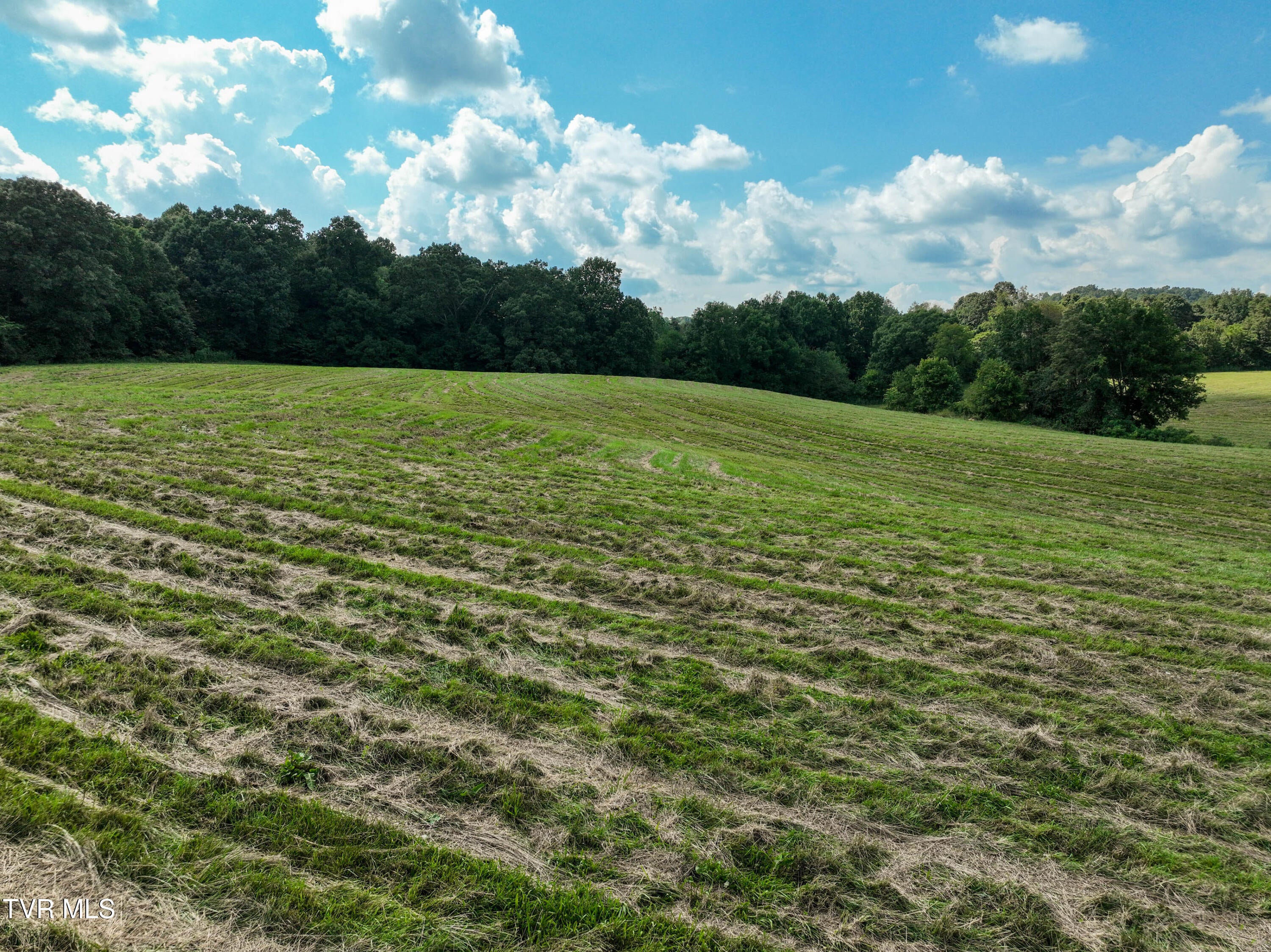 Limestone, Tennessee, 37681, United States, 3 Bedrooms Bedrooms, ,2 BathroomsBathrooms,Residential,Active,1773188
