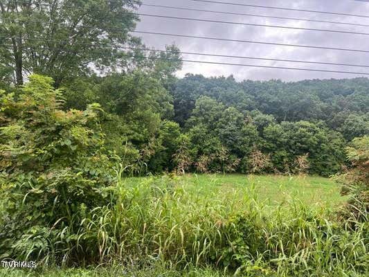 TBD RHEATOWN ROAD, CHUCKEY, TN 37641 - Image 1