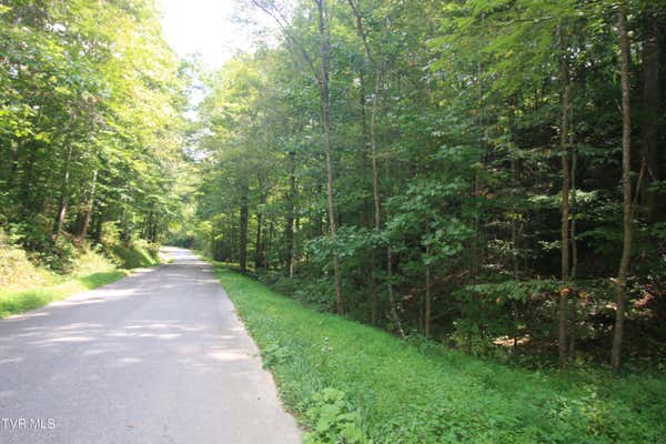 TBD MURRAY RD., MARION, VA 24354 - Image 1