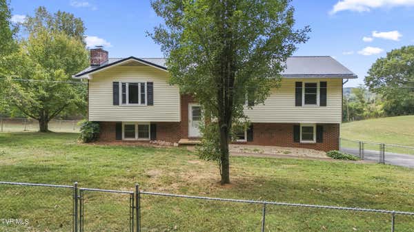 239 CHEROKEE MOUNTAIN RD, JONESBOROUGH, TN 37659 - Image 1