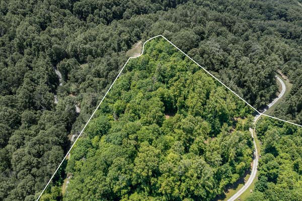 LOT 2 RIDGETOP LANE, UNICOI, TN 37692, photo 2 of 95