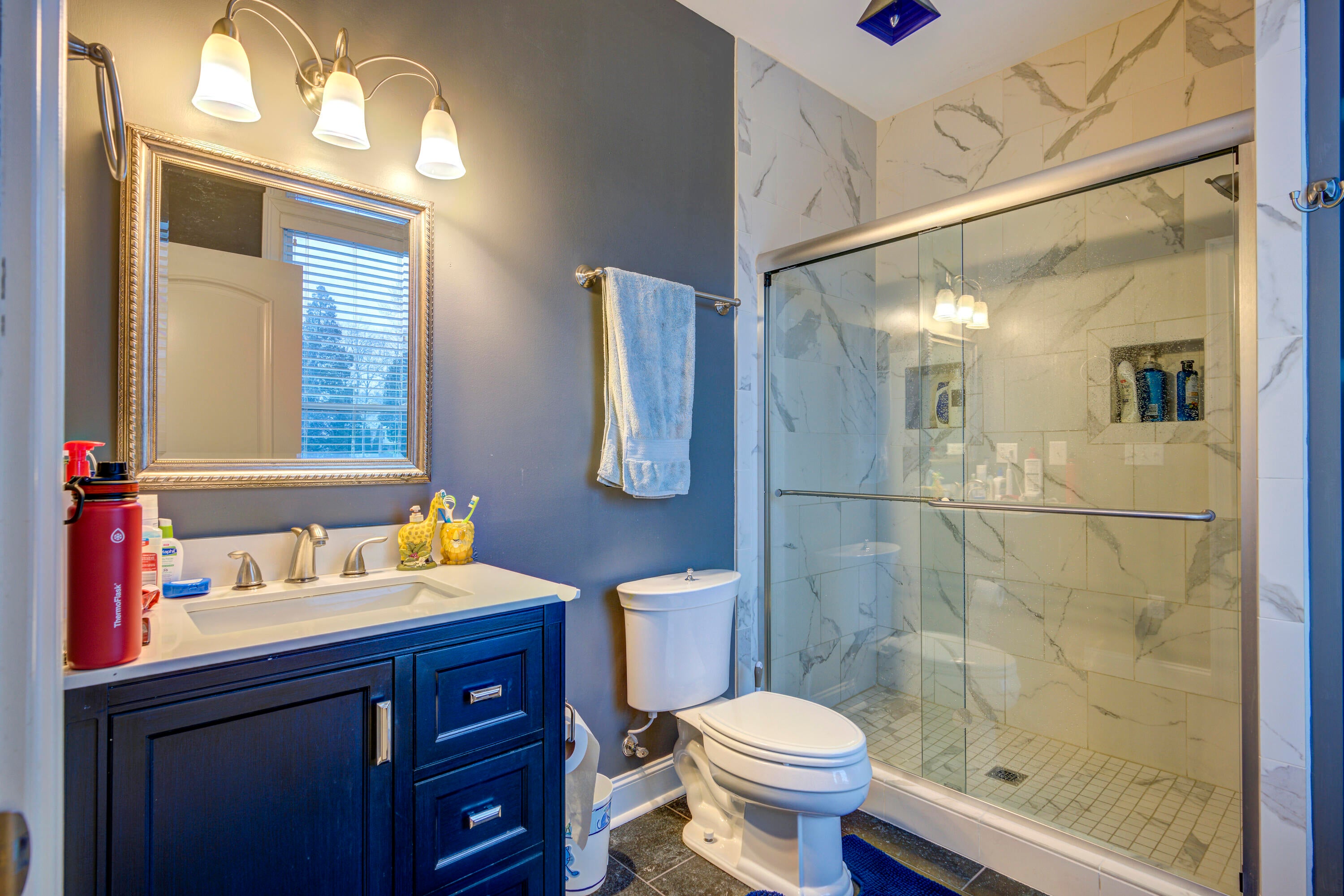 Johnson City, Tennessee, 37601, United States, ,11 BathroomsBathrooms,Residential,Active,1769538