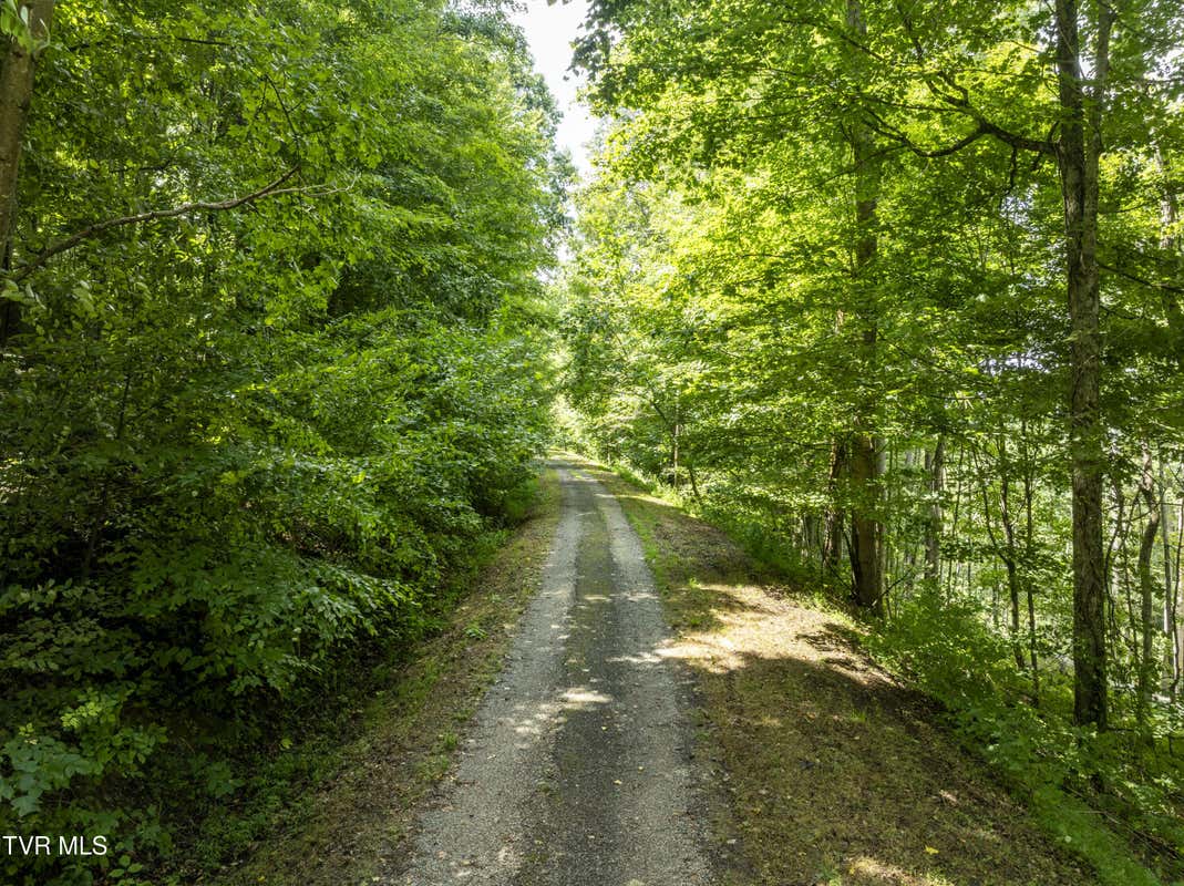 LOT 14 N. OF DRAFT ROAD ROAD, BUTLER, TN 37640, photo 1 of 39