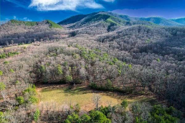 20 ACRES PERRY DAVIS ROAD, GREENEVILLE, TN 37743 - Image 1