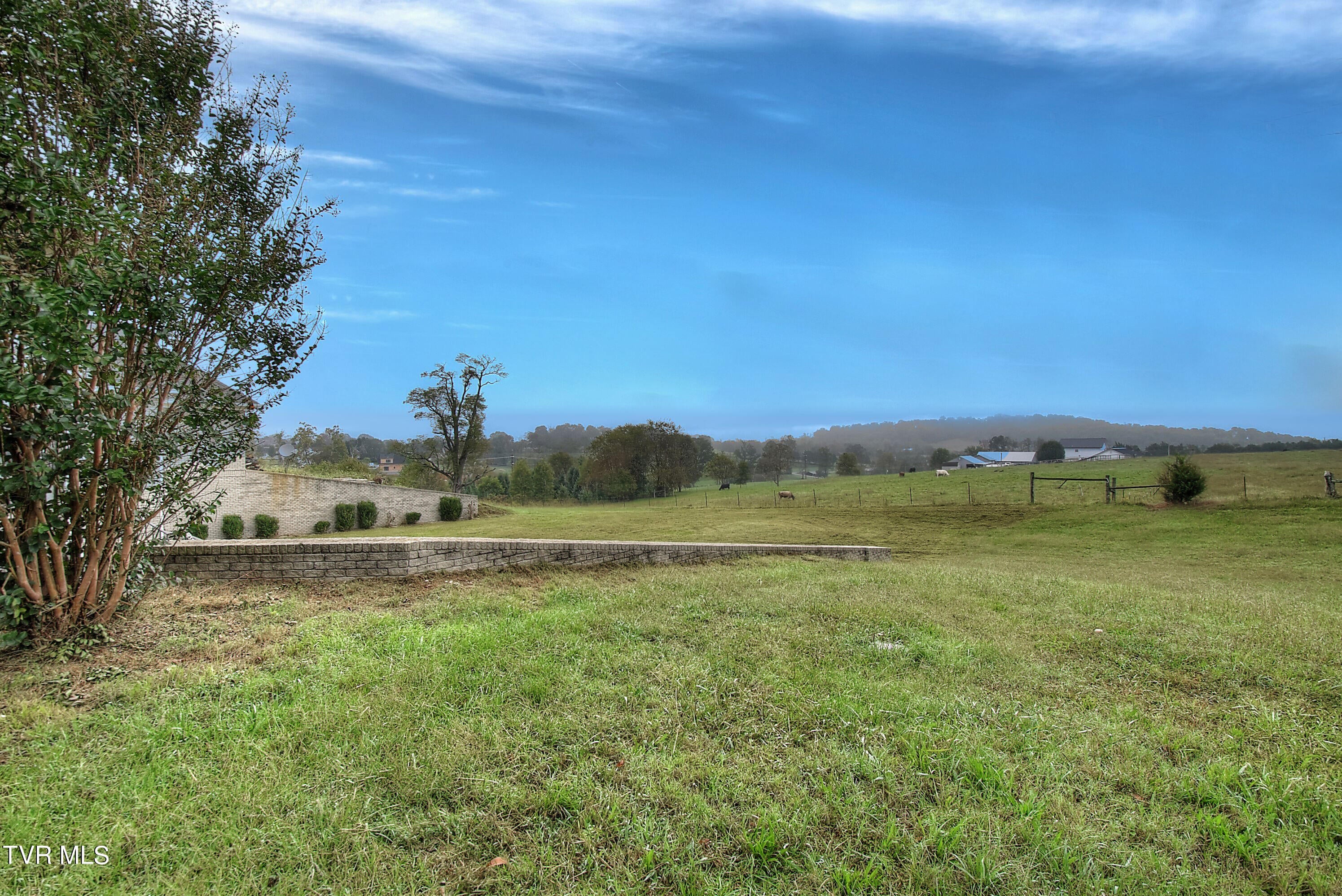 Greeneville, Tennessee, 37745, United States, 6 Bedrooms Bedrooms, ,8 BathroomsBathrooms,Residential,Active,1769938