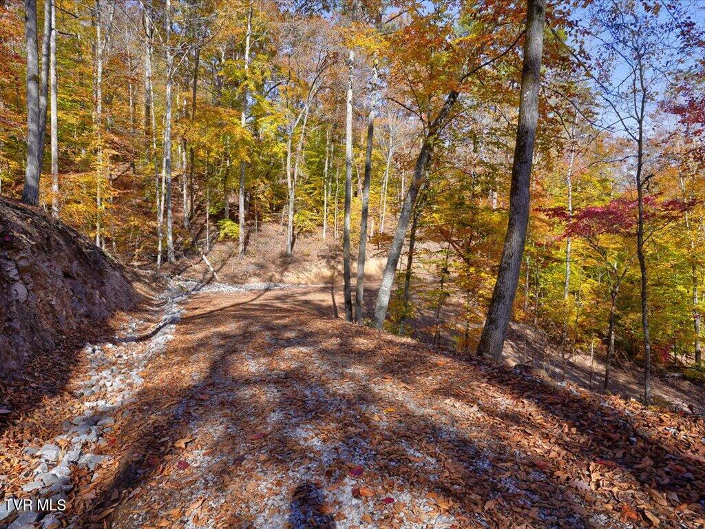 New Tazewell, Tennessee, 37825, United States, 2 Bedrooms Bedrooms, ,2 BathroomsBathrooms,Residential,Active,2007647