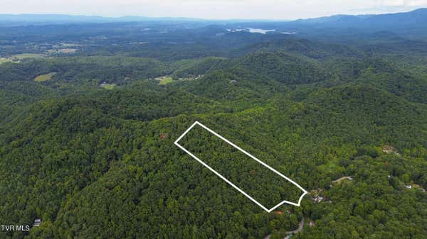 417 WHITE HOLLOW RD, BLUFF CITY, TN 37618 - Image 1