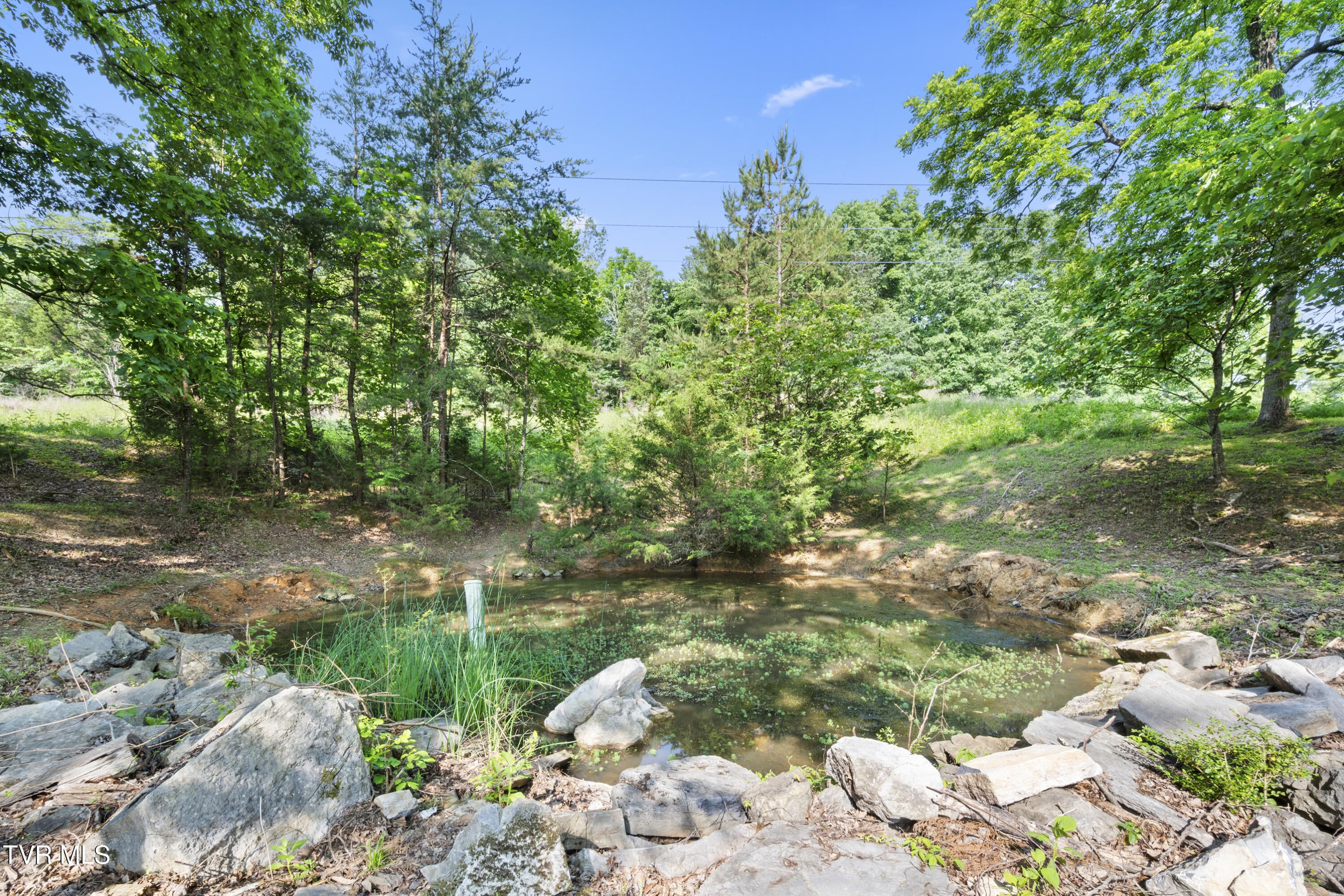 Blountville, Tennessee, 37617, United States, 8 Bedrooms Bedrooms, ,8 BathroomsBathrooms,Residential,Active,2007073