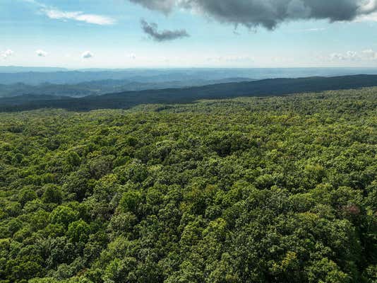 0 DEER TRACK DRIVE, COEBURN, VA 24230, photo 4 of 18