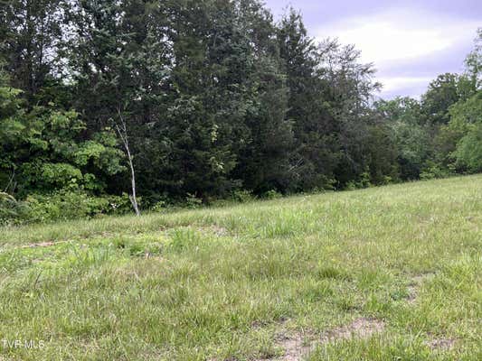 LOT 5 CLEMON ROAD, BULLS GAP, TN 37711, photo 4 of 7