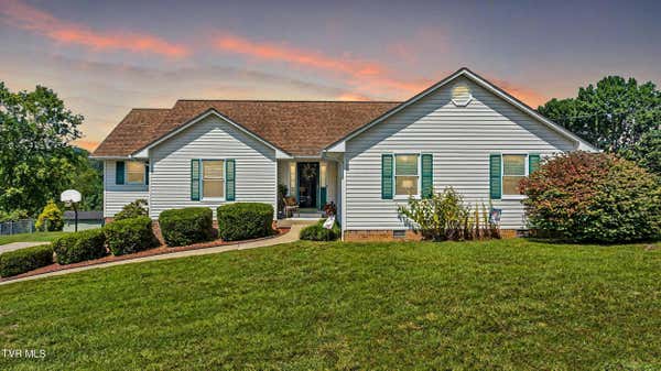 100 VALLEY CREST DR, MOUNT CARMEL, TN 37645 - Image 1