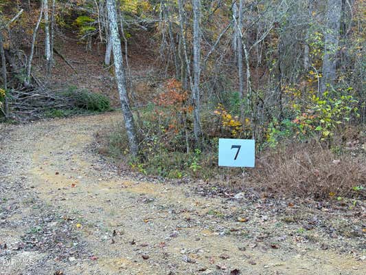 TRACT 7 TOPAZ WAY, PARROTTSVILLE, TN 37843 - Image 1