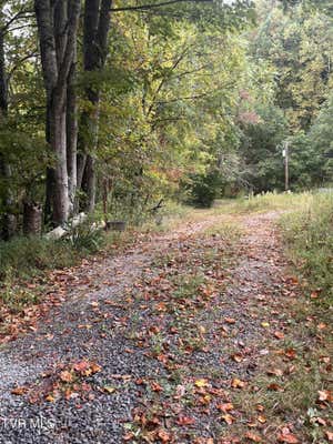 00 JIM DEAL ROAD, ELIZABETHTON, TN 37643, photo 2 of 16