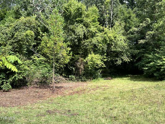 LOT 5 CLEMON ROAD, BULLS GAP, TN 37711, photo 2 of 7