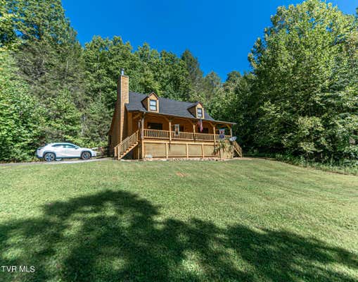 421 SCIOTO RD, UNICOI, TN 37692 - Image 1