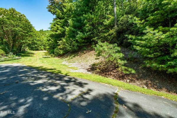 000 IVY WOOD LANE, MOUNTAIN CITY, TN 37683 - Image 1