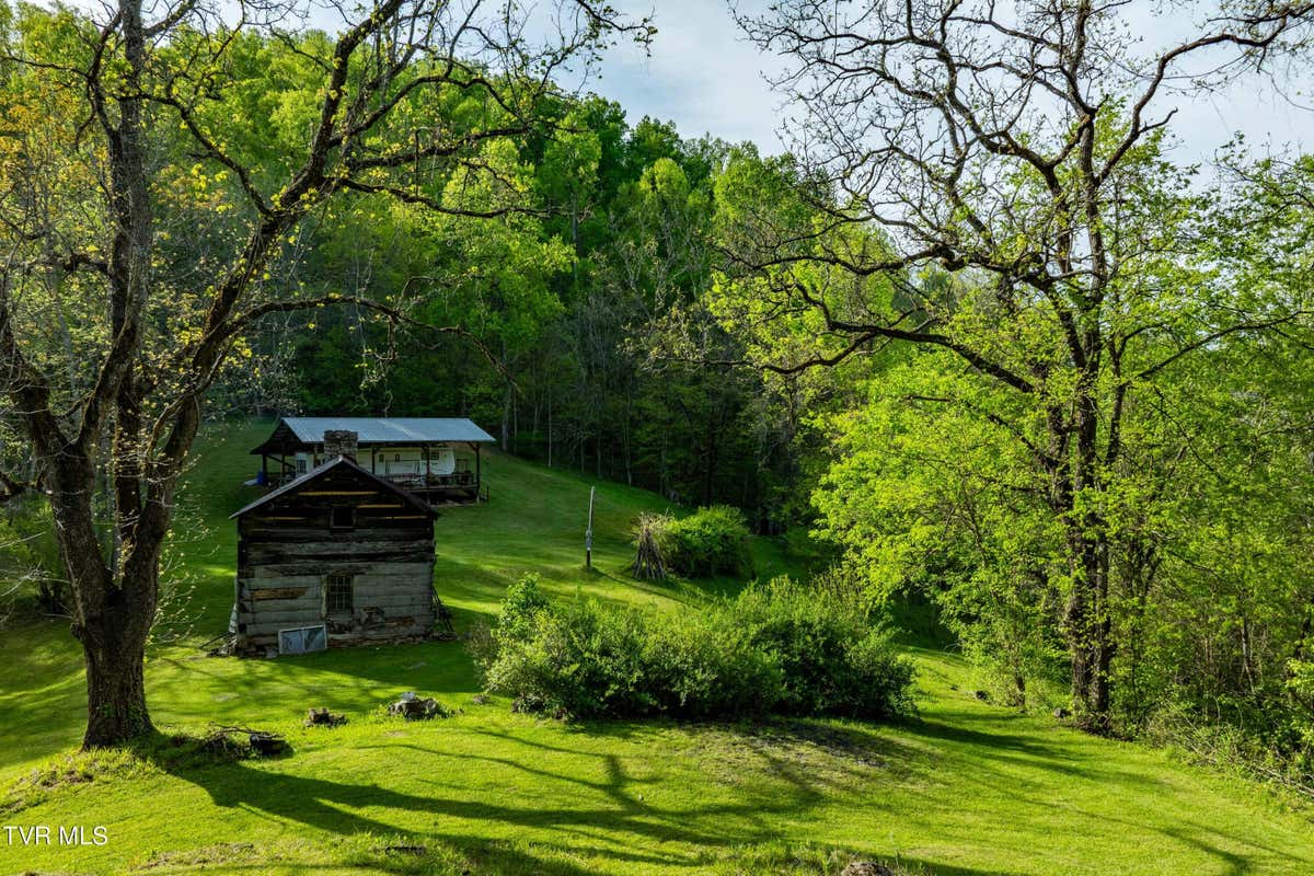 TBD DEVILS RACEPATH LANE, DUFFIELD, VA 24244, photo 1 of 51