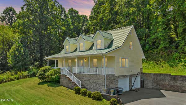 244 HIGHWAY 394, BLOUNTVILLE, TN 37617 - Image 1