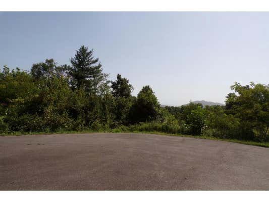 TBD ARROWHEAD TRAIL LOT 12 AND 13, MOUNTAIN CITY, TN 37683 - Image 1