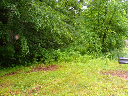 TBD TIGER CREEK ROAD, ROAN MOUNTAIN, TN 37687 - Image 1