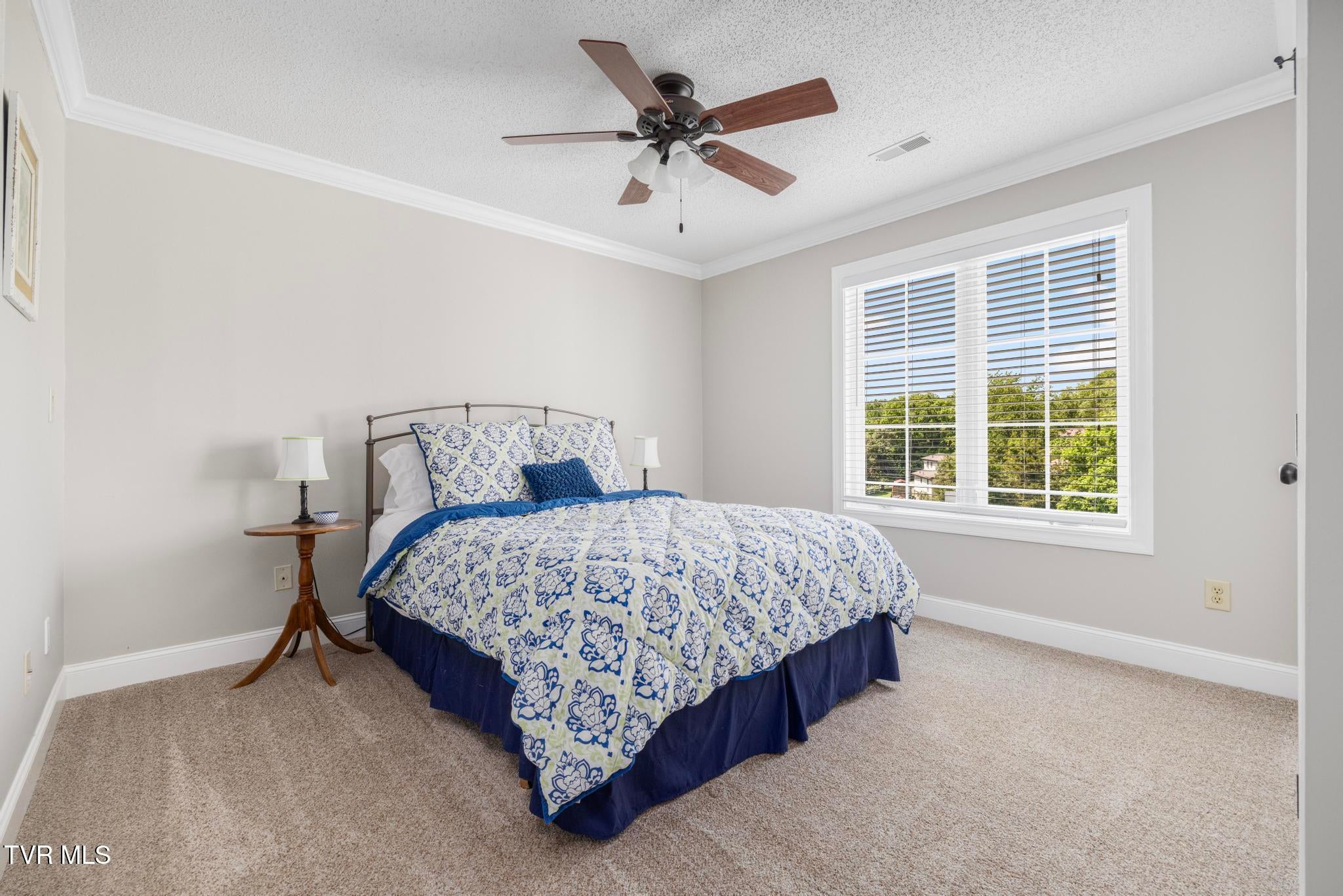 Piney Flats, Tennessee, 37686, United States, 5 Bedrooms Bedrooms, ,5 BathroomsBathrooms,Residential,Active,1849555