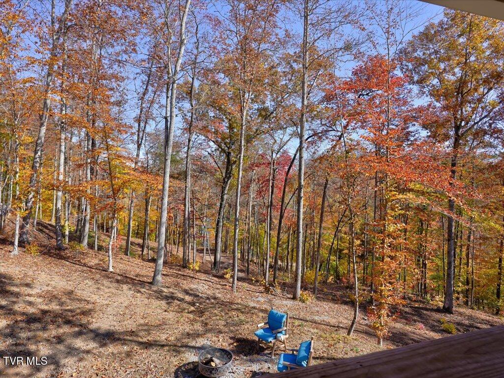 New Tazewell, Tennessee, 37825, United States, 2 Bedrooms Bedrooms, ,2 BathroomsBathrooms,Residential,Active,2007647