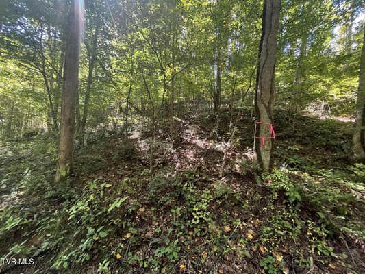 TBD GATE HOLLOW ROAD, MOUNTAIN CITY, TN 37683 - Image 1