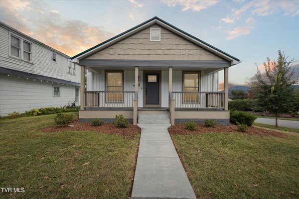 119 W HOLSTON AVE, JOHNSON CITY, TN 37604 - Image 1