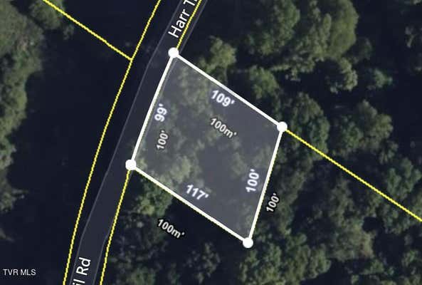 TBD HARR TRAIL ROAD, BLOUNTVILLE, TN 37617 - Image 1