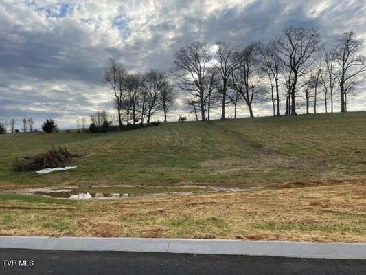 LOT 14 CATTLEMANS TRAIL, JONESBOROUGH, TN 37659 - Image 1