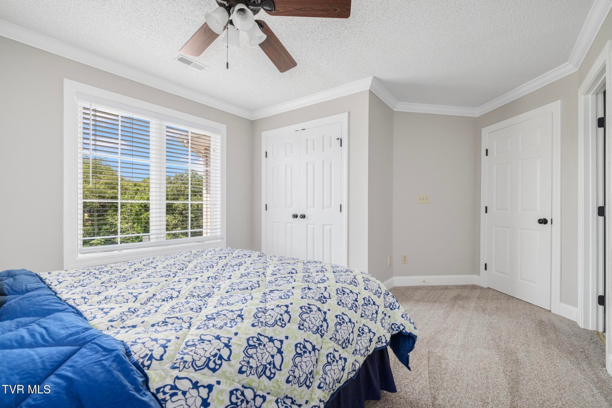 Piney Flats, Tennessee, 37686, United States, 5 Bedrooms Bedrooms, ,5 BathroomsBathrooms,Residential,Active,1849555