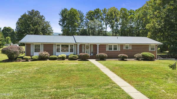 320 SIMMONS AVE, ERWIN, TN 37650 - Image 1