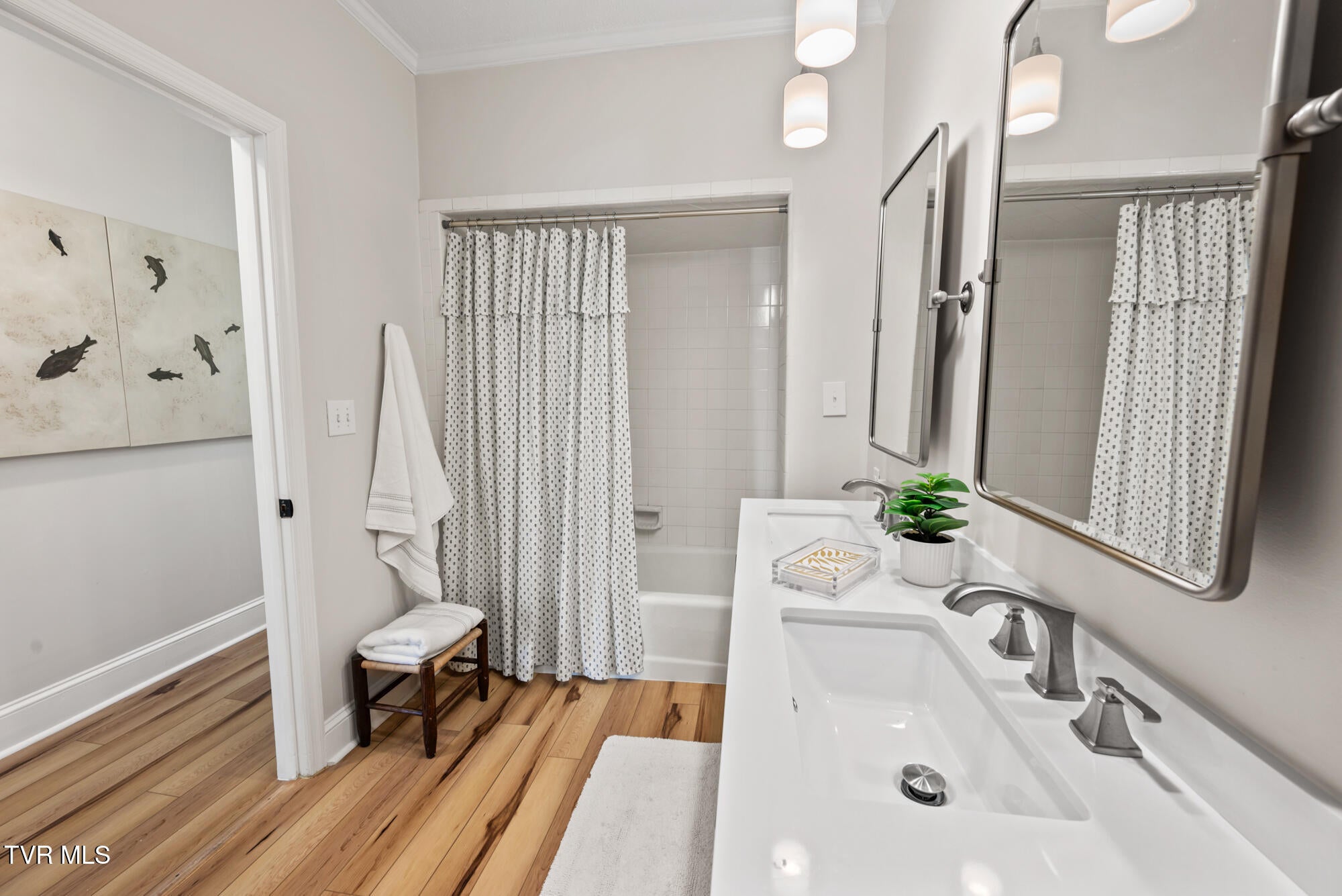 Bristol, Tennessee, 37620, United States, 3 Bedrooms Bedrooms, ,3 BathroomsBathrooms,Residential,Active,2007074