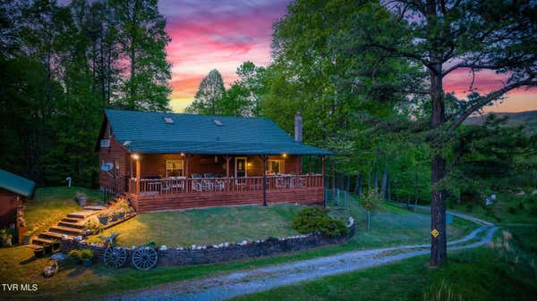 143 HORSESHOE LN, ROAN MOUNTAIN, TN 37687 - Image 1