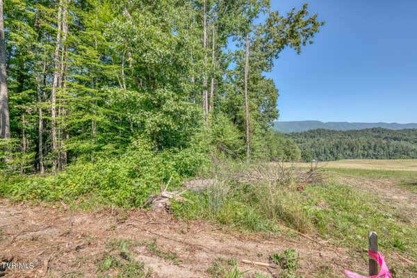 TBD SINK VALLEY ROAD, BUTLER, TN 37640 - Image 1