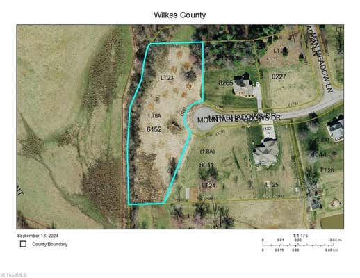 LOT 23 MOUNTAIN SHADOWS DRIVE, PURLEAR, NC 28665 - Image 1