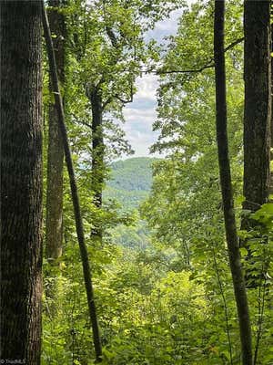 LOT 8 DOGWOOD ROAD, MORAVIAN FALLS, NC 28654, photo 3 of 17