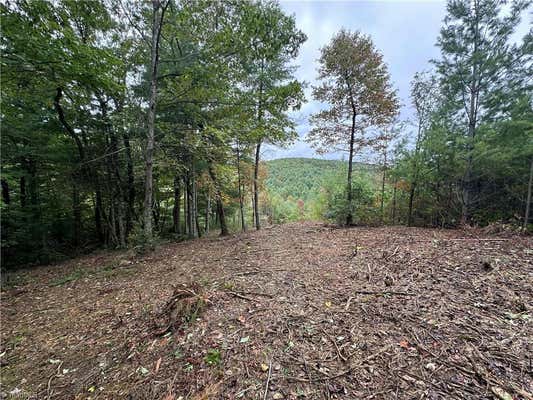 LOT 26E CASCADE RUN, PURLEAR, NC 28665, photo 5 of 20