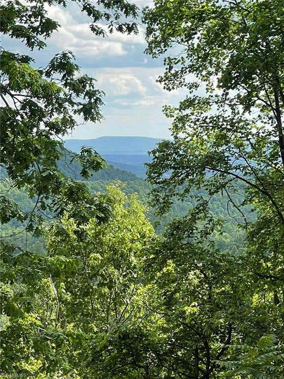 LOT 8 DOGWOOD ROAD, MORAVIAN FALLS, NC 28654, photo 1 of 17