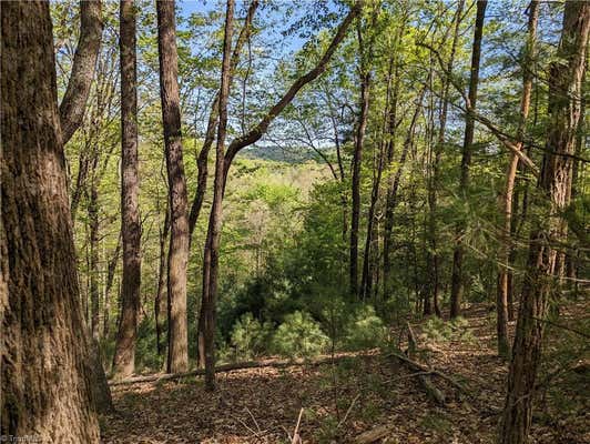 TBD SUTTERS RIDGE ROAD # LOT 94, MCGRADY, NC 28649, photo 2 of 10