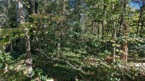 LOT 9 CURTIS STREET, RAMSEUR, NC 27316, photo 3 of 3